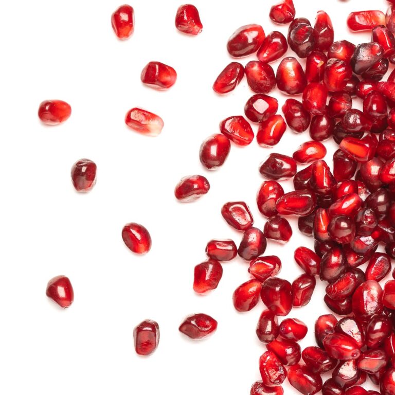 φωτογράφιση τροφίμων σε λευκό φόντο για καταλόγους banner